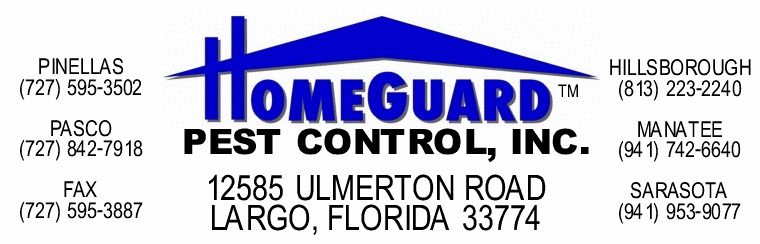 HomeGuard Pest Control Services